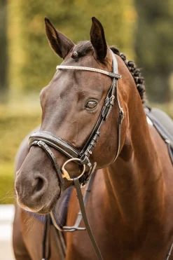 * Nancy Crystal And Wire Otsapanta