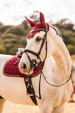 * Safari Clincher Suitset