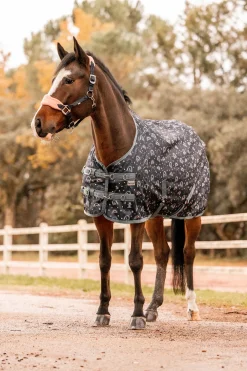 * Trixi Pony Ulkoloimi