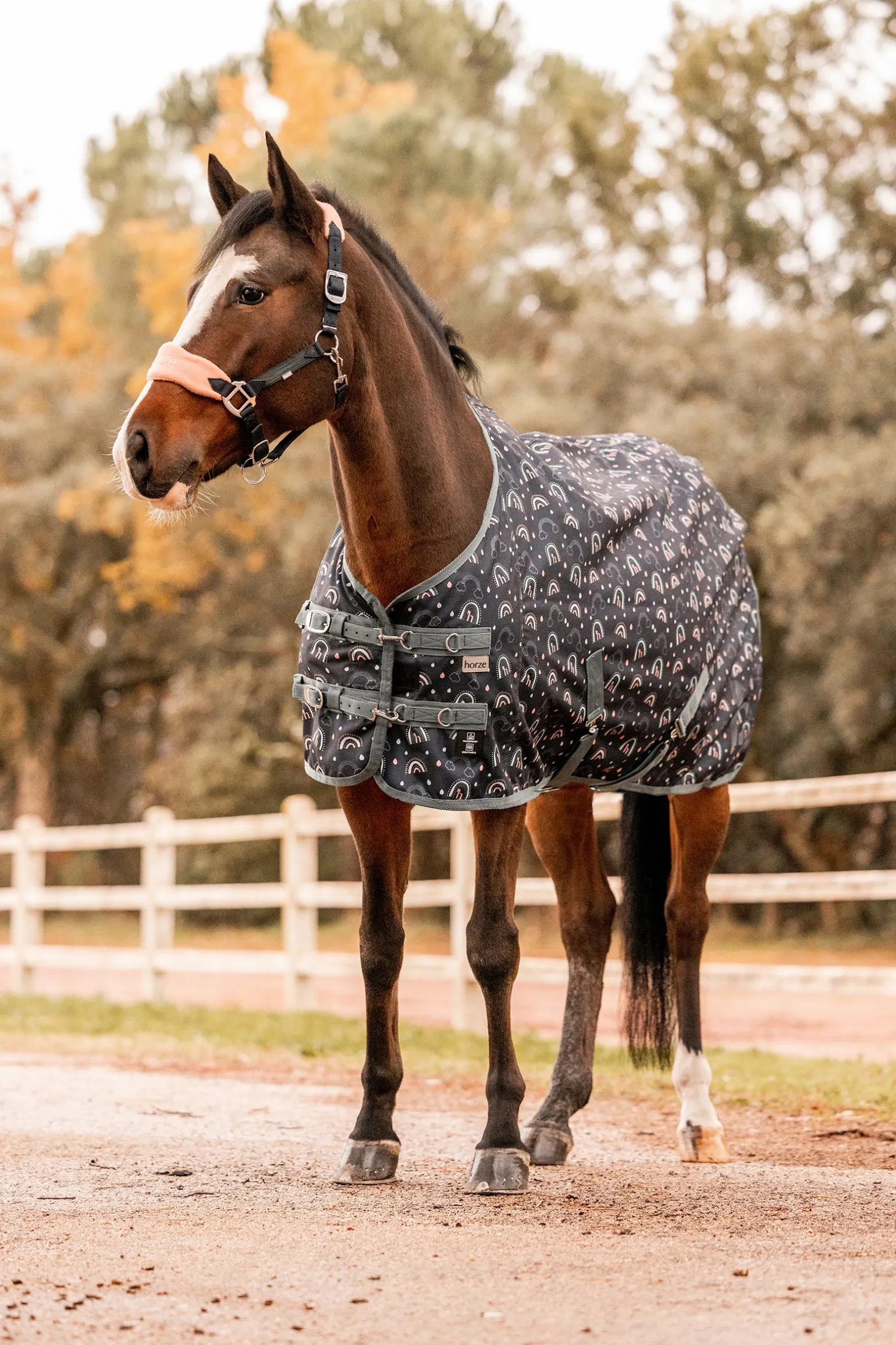 * Trixi Pony Ulkoloimi