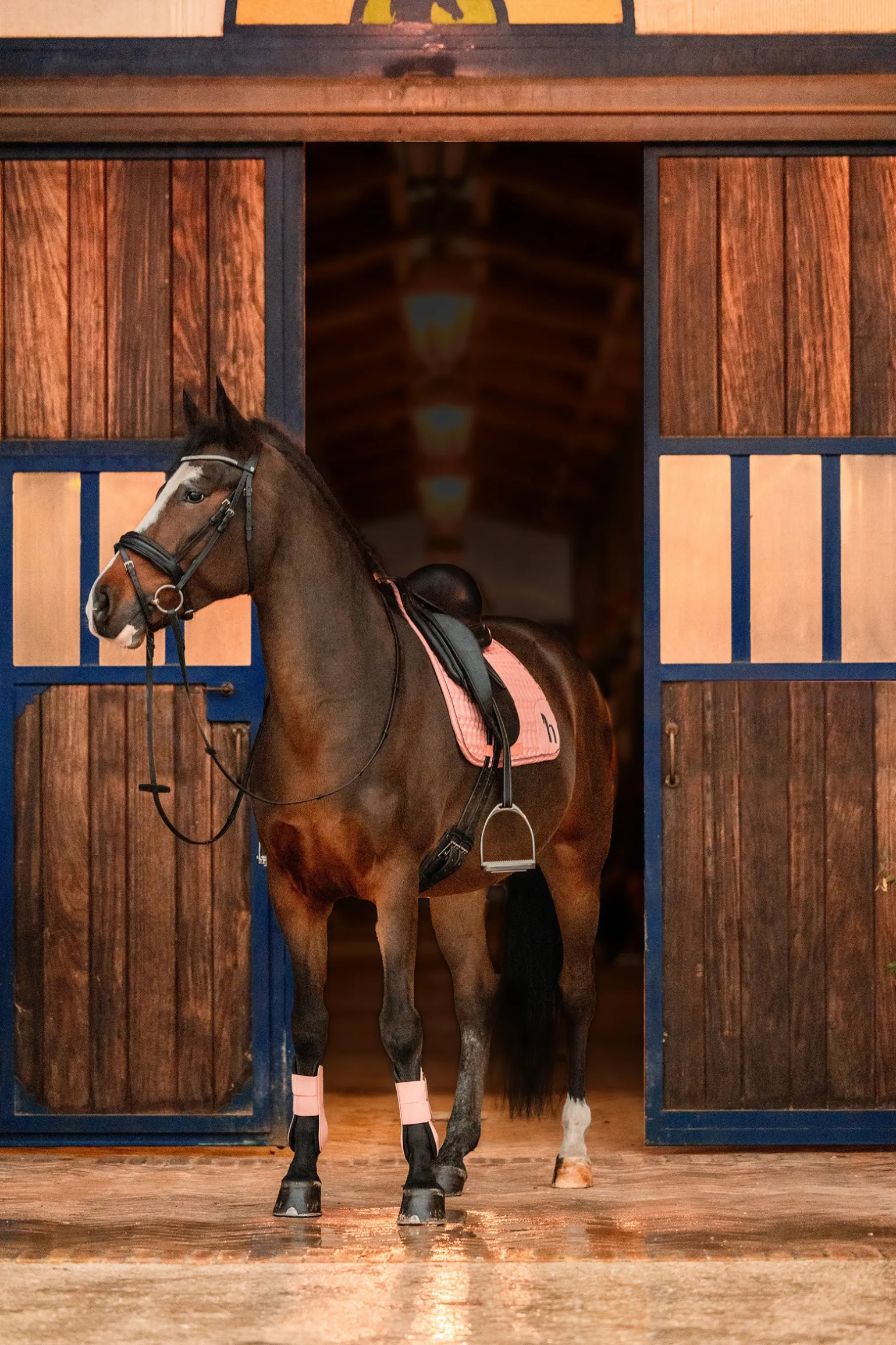 * Trixi Pony Yleissatulahuopa
