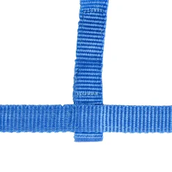 * Varsariimu