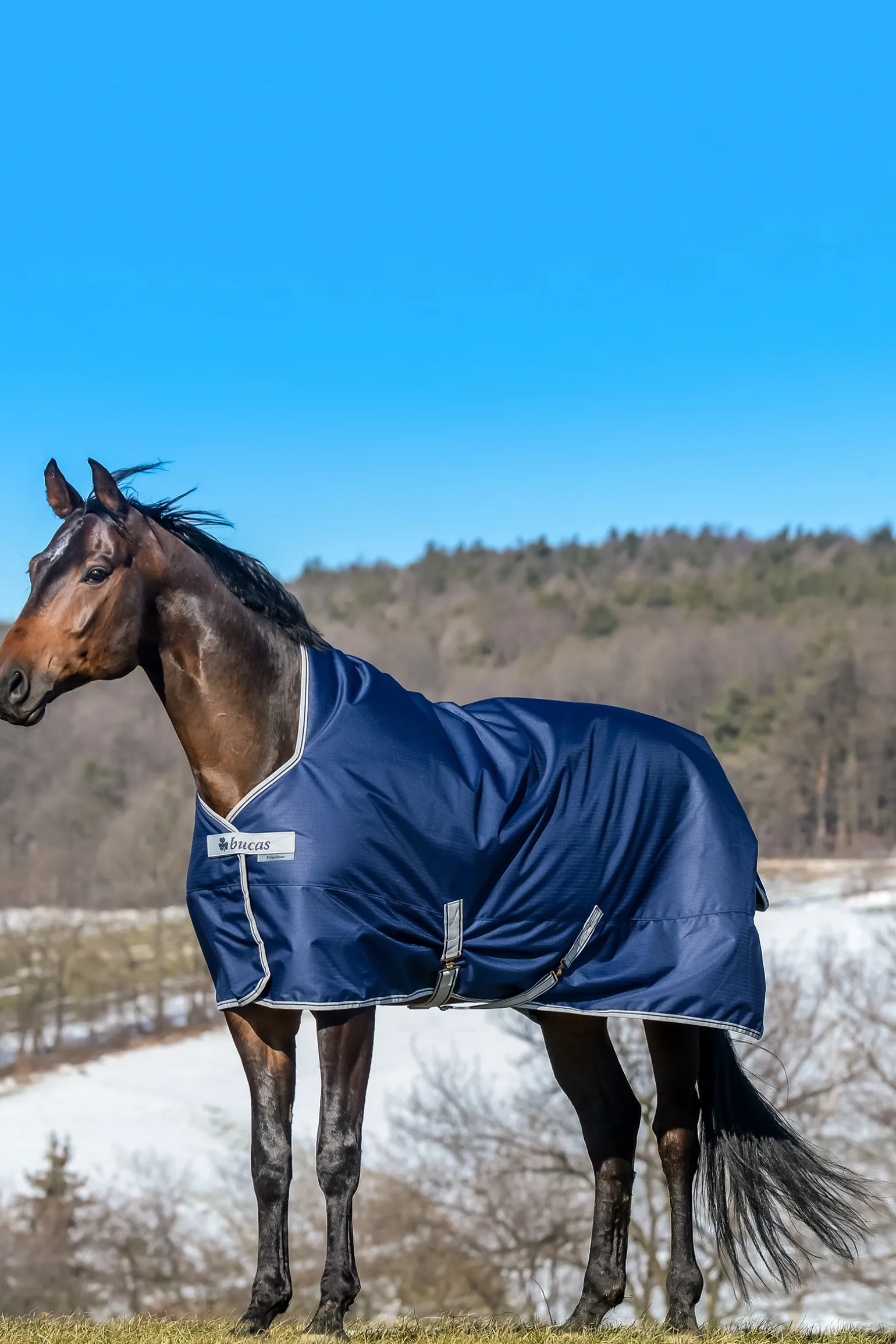 Bucas Freedom High Neck Ulkoloimi, 150G