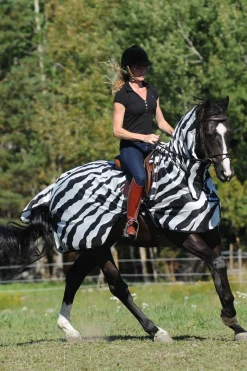 Buzz-Off Zebra Ratsastusloimi