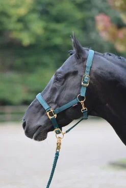 Covalliero Topline Riimu