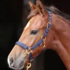Covalliero Topline Varsariimu