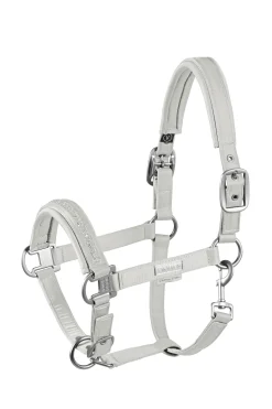 Eskadron Platinum 22 Doublepin Crystal Riimu