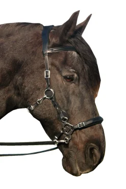 Fra Calli Hackamore-Suitset (System 2) Poskihihnoilla, Mukana Varret Ja Ohjat