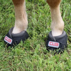 F.R.A. Cavallo Regular Clb Bootsit