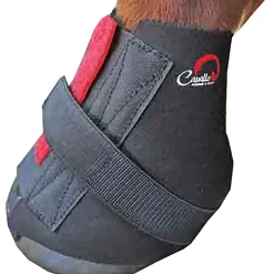 F.R.A. Cavallo Saarystimet, Bfb