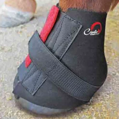 F.R.A. Cavallo Saarystimet, Xl