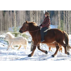 F.R.A. Cavallo Simple Slim Bootsit