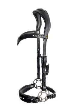 F.R.A. Glory Hackamore Suitset (System 2), Mustat