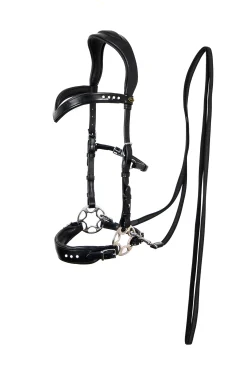 F.R.A. Glory Hackamore Suitset (System 2), Mustat