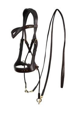 F.R.A. Glory Jaw-Crossed Bitless Bridle (System 5),