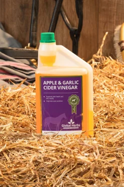 Global Herbs Apple & Garlic Cider Vinegar Equine, 1 L