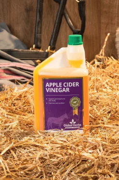 Global Herbs Apple Cider Vinegar, 1 L - Equine