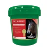Global Herbs Gut Support 500 G