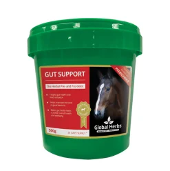 Global Herbs Gut Support 500 G
