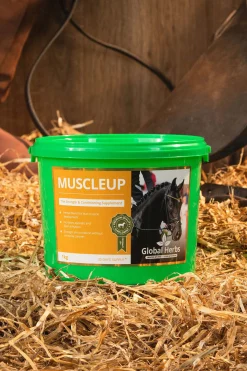 Global Herbs Muscle Up, 1 Kg