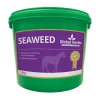 Global Herbs Seaweed, 1,5 Kg