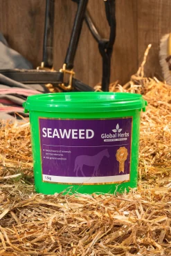 Global Herbs Seaweed, 1,5 Kg