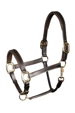 Harry'S Horse Padded Leather Headcollar
