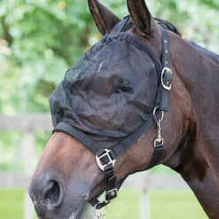 Harry'S Horse Riimu Karpasmaskilla