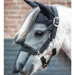 Harry'S Horse Riimu Karpasmaskilla Ja Hupulla
