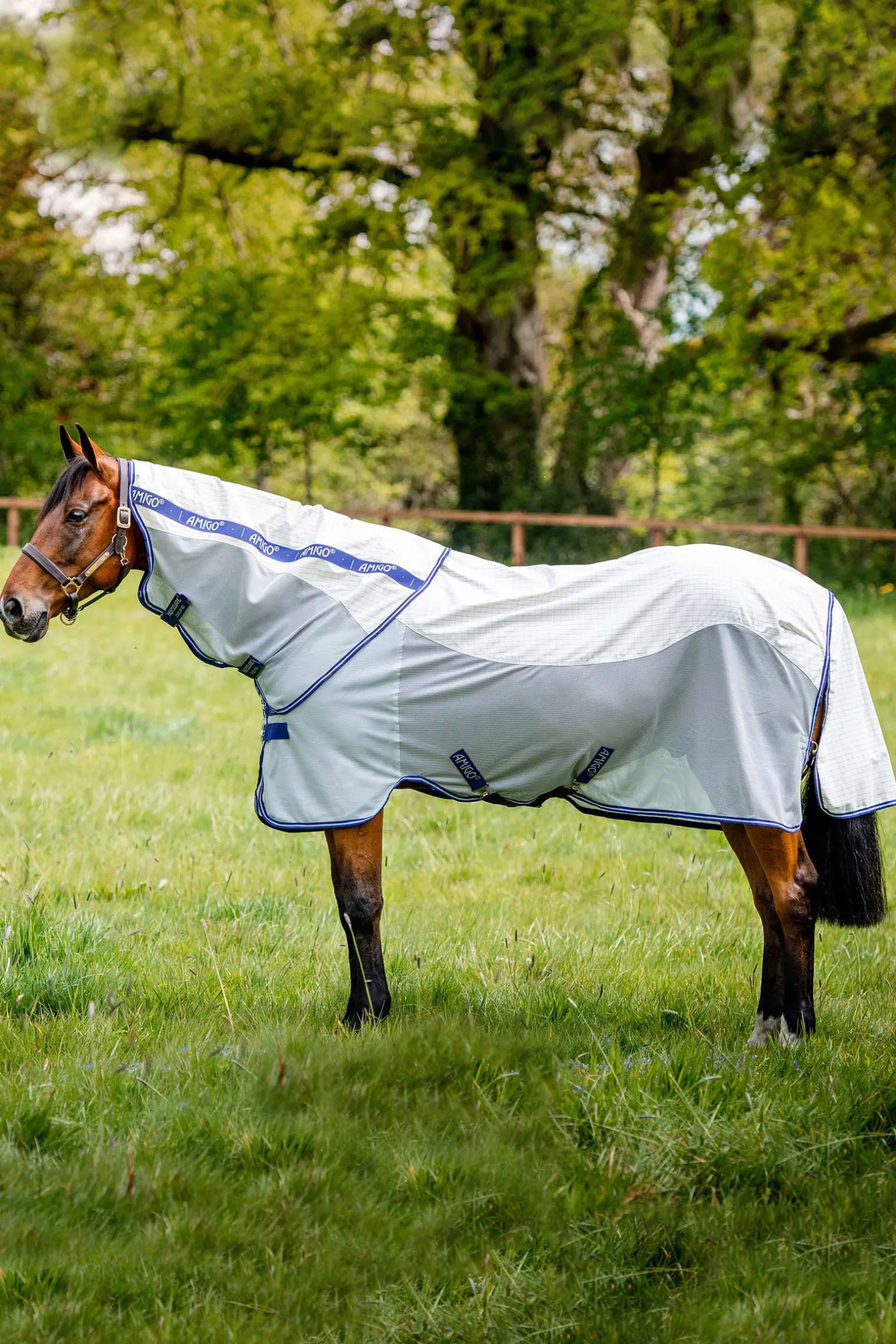 Horseware Amigo Airflow -Loimi