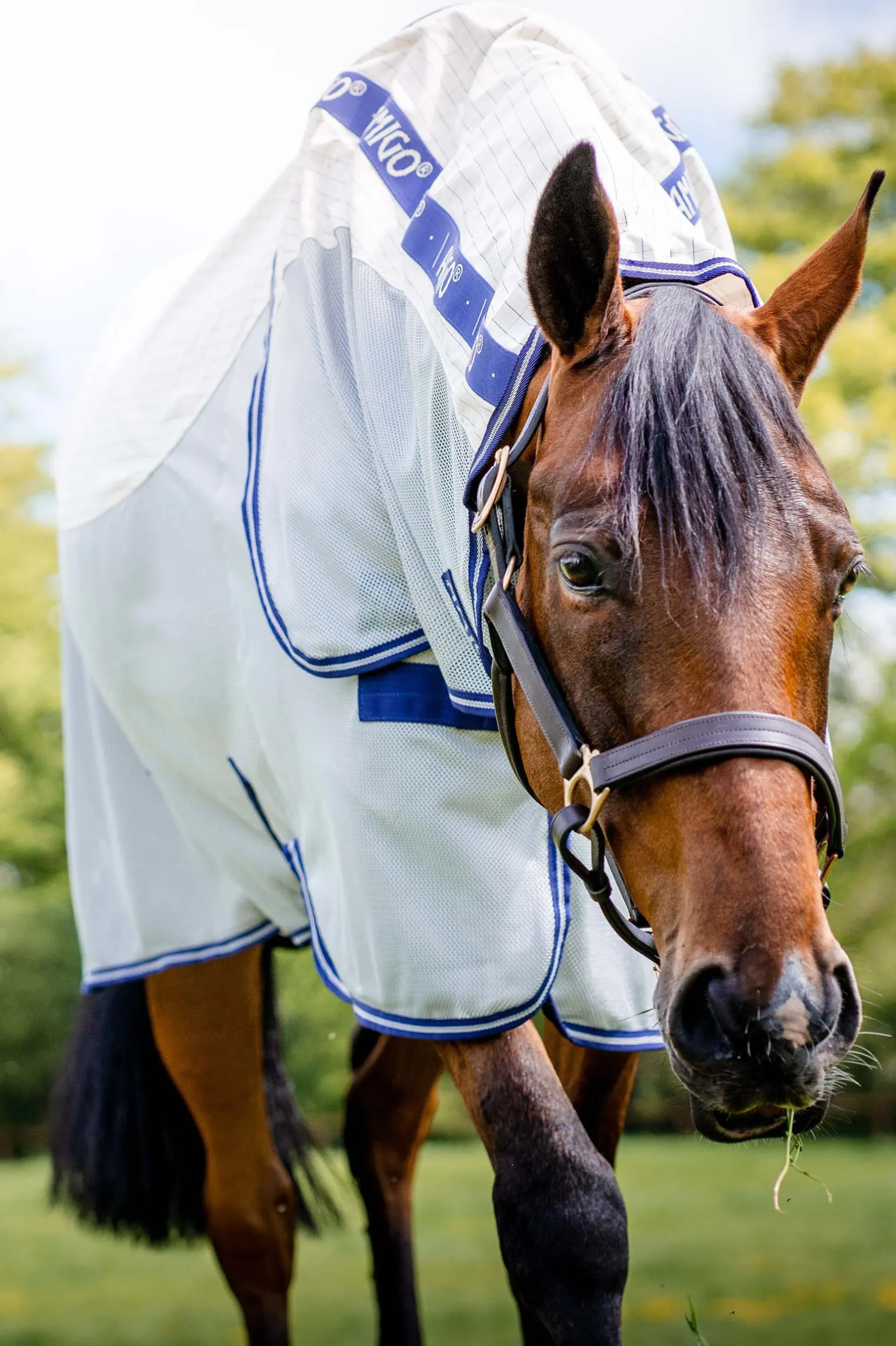 Horseware Amigo Airflow -Loimi