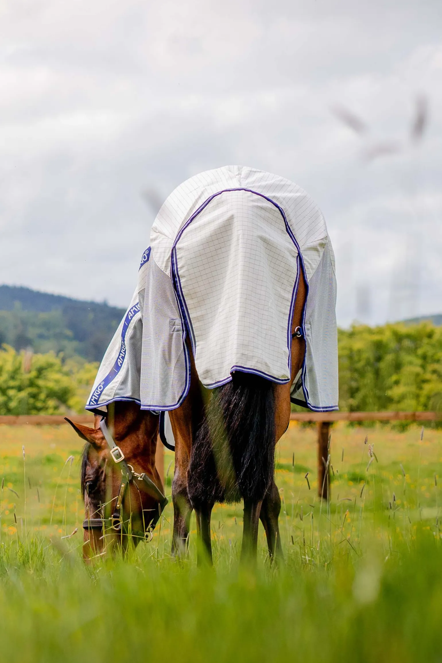 Horseware Amigo Airflow -Loimi