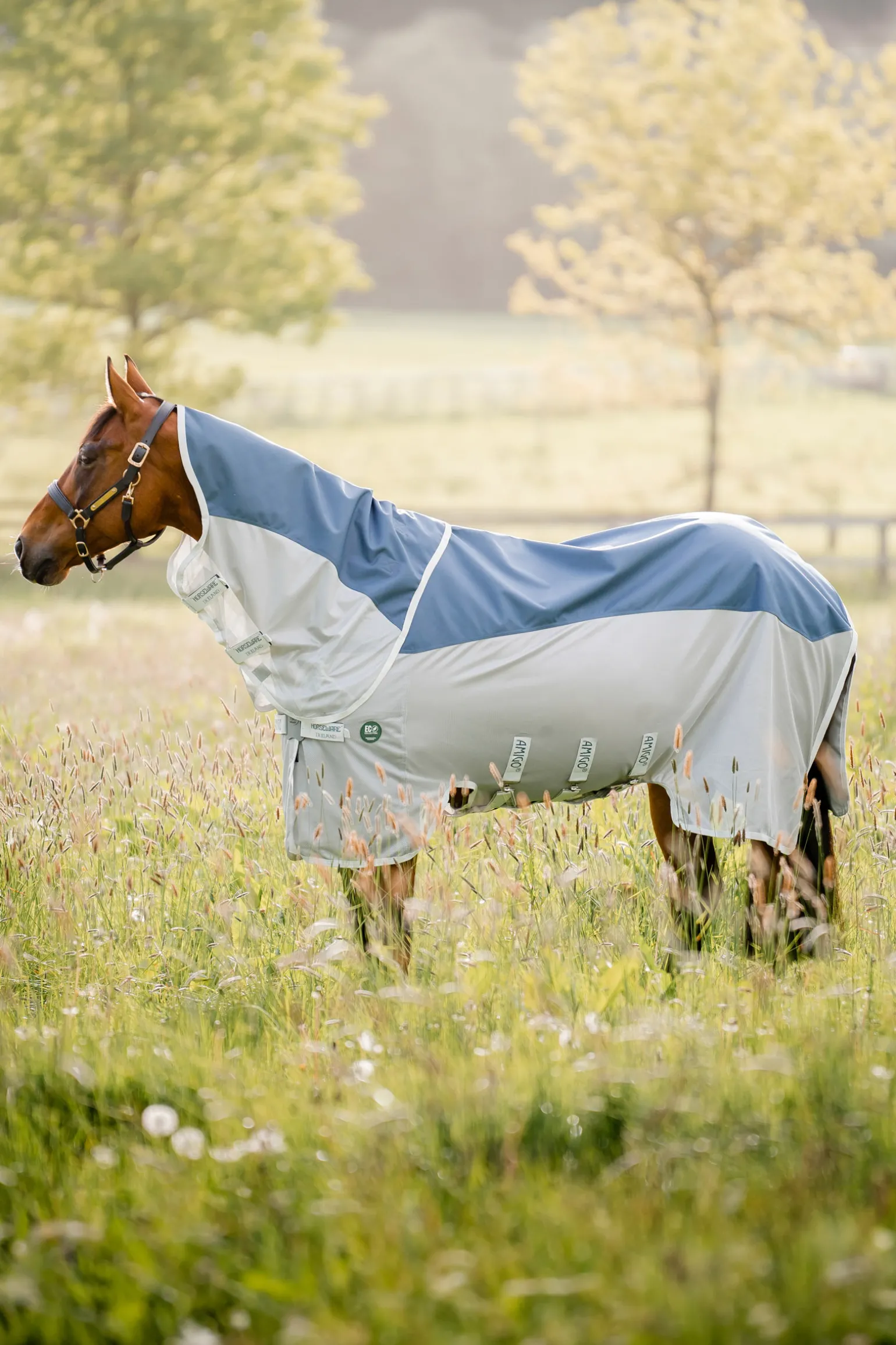 Horseware Amigo Ameco Combi Loimi