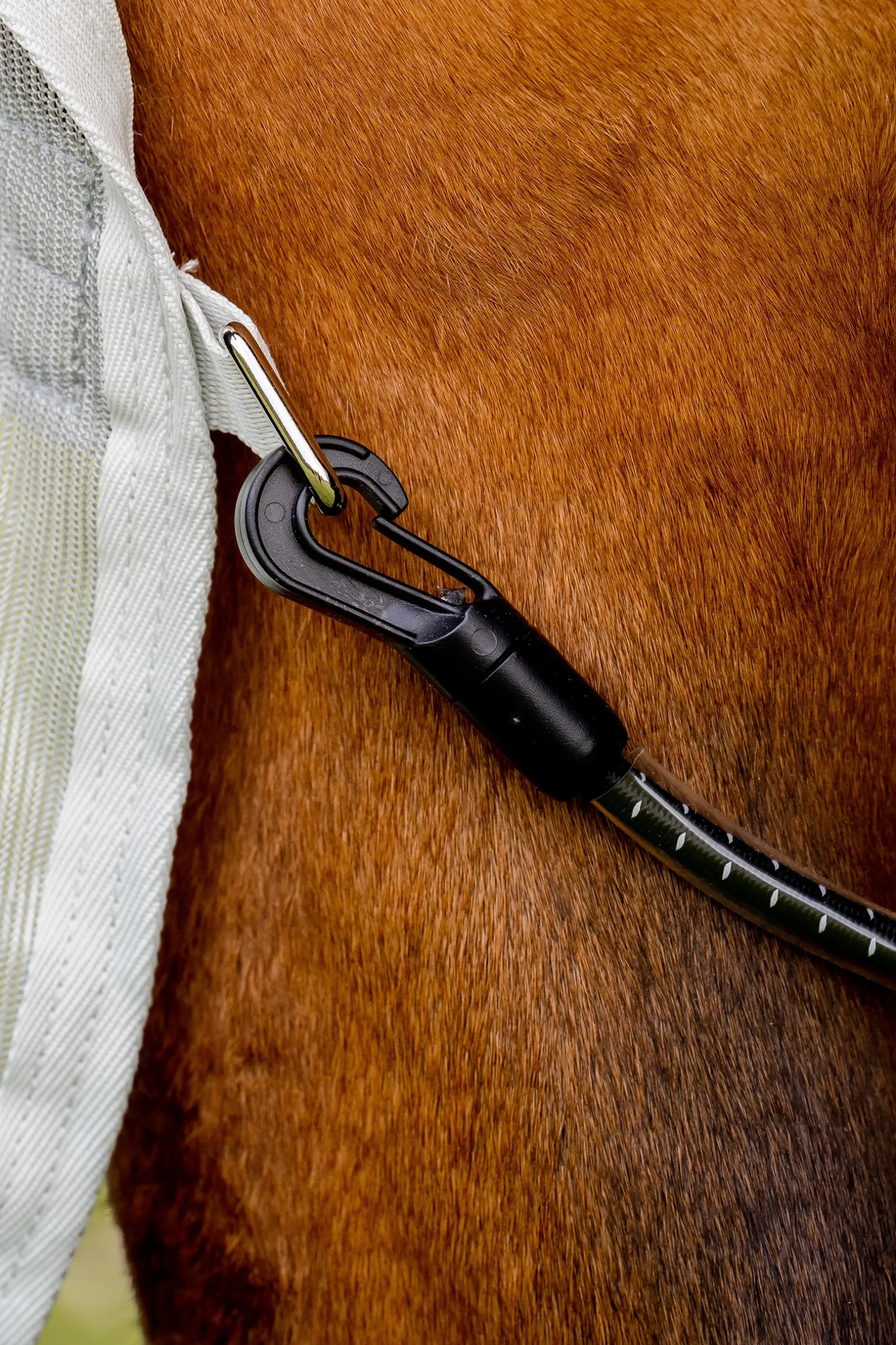 Horseware Amigo Ameco Combi Loimi