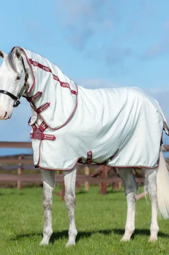 Horseware Amigo Aussie Karpasloimi Levykiinnityksella