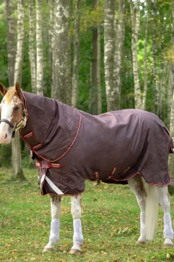Horseware Amigo Bravo 12 Plus T/O 100G D/Fr -Loimi