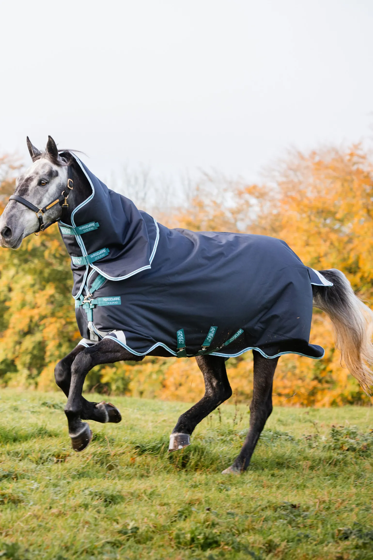 Horseware Amigo Bravo 12 Plus Medium Ulkoloimi, 250 G