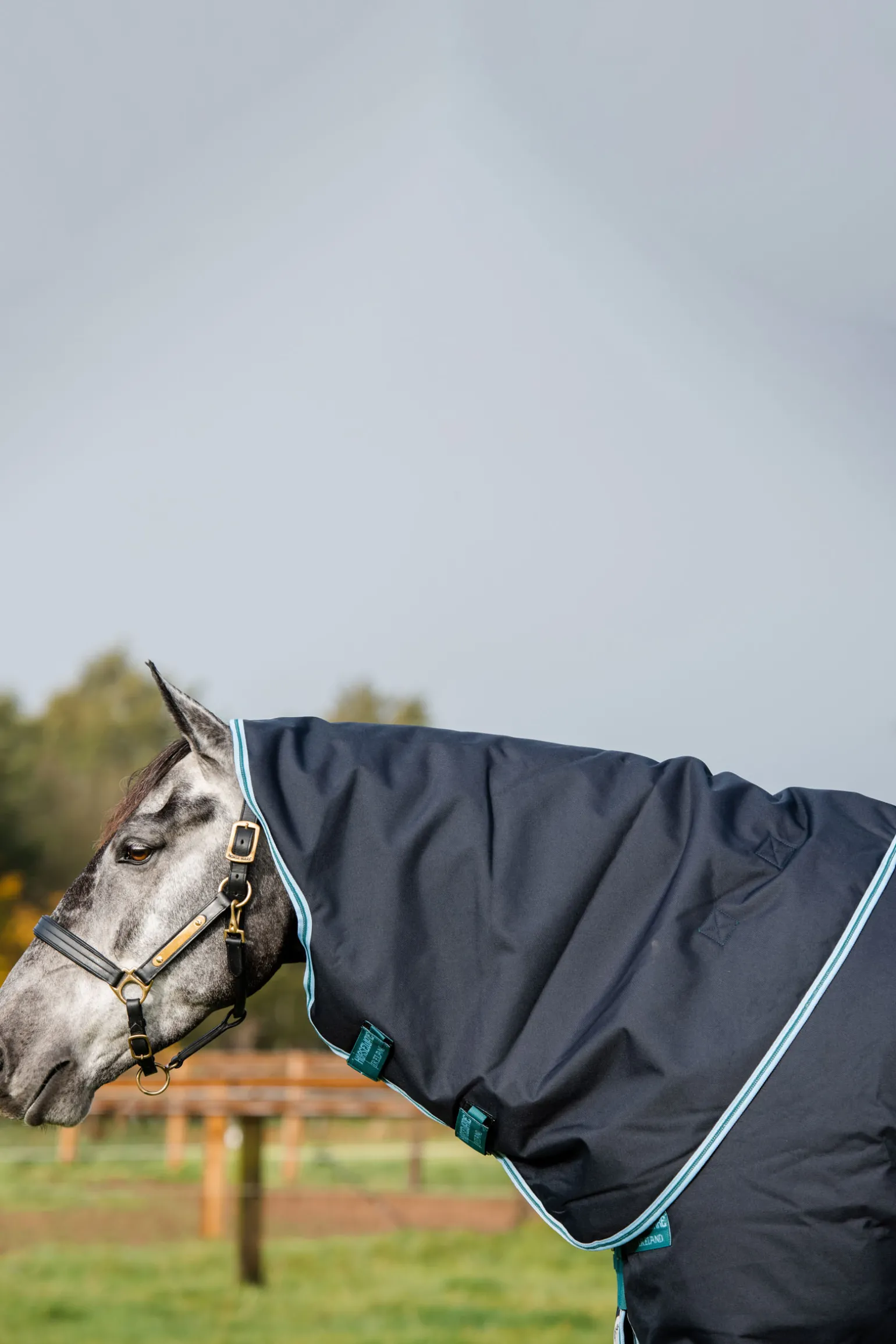 Horseware Amigo Bravo 12 Plus Medium Ulkoloimi, 250 G