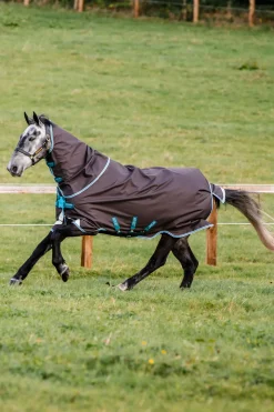 Horseware Amigo Bravo 12 Plus Ulkoloimi Levykiinnityksella, 250 G