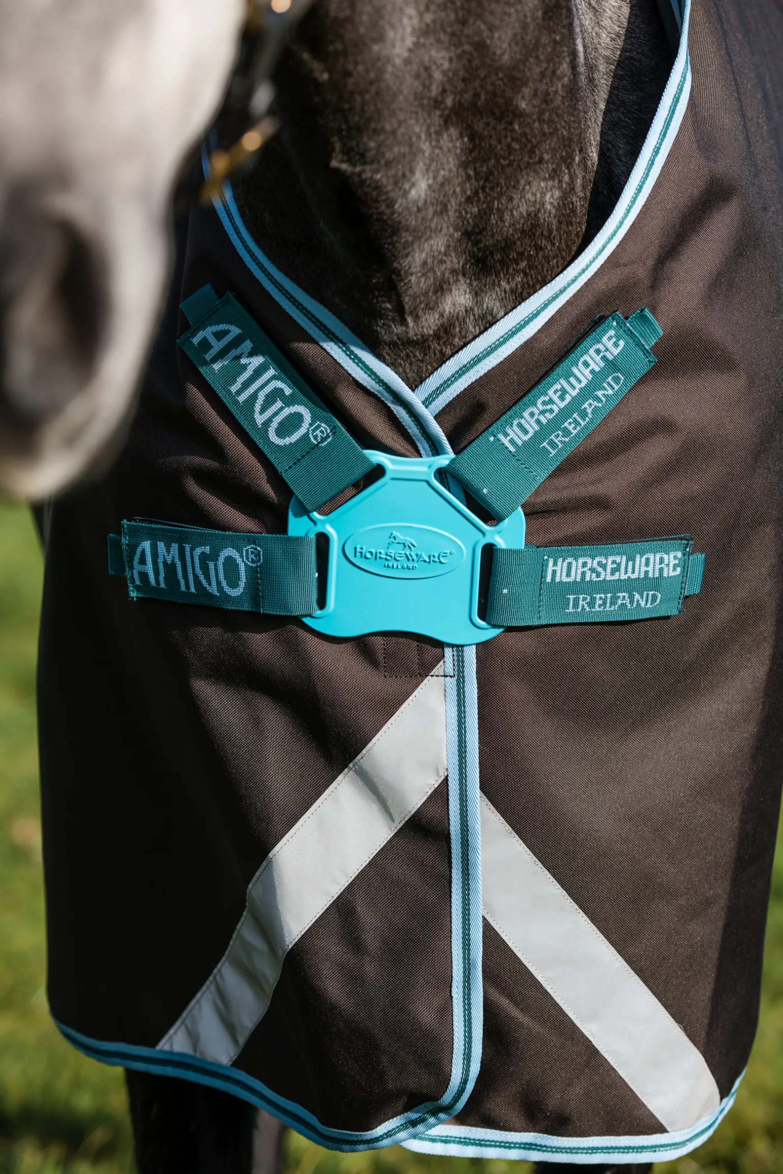 Horseware Amigo Bravo 12 Plus Ulkoloimi Levykiinnityksella, 250 G