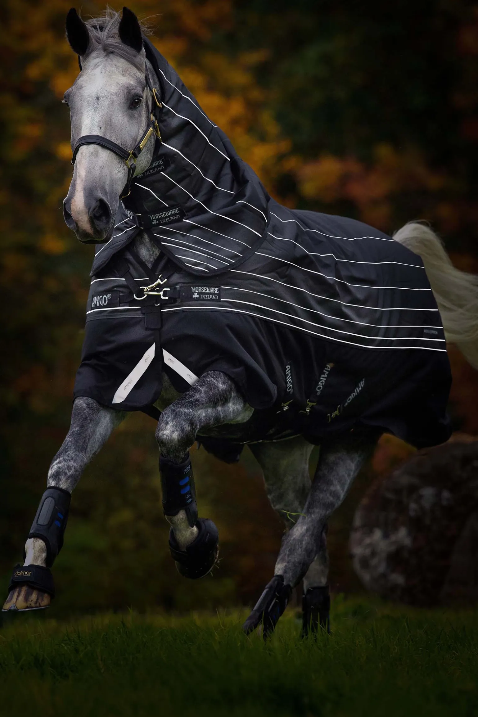 Horseware Amigo Bravo 12 Reflective Plus Ulkoloimi Irrotettavalla Kaulakappaleella, 250 G
