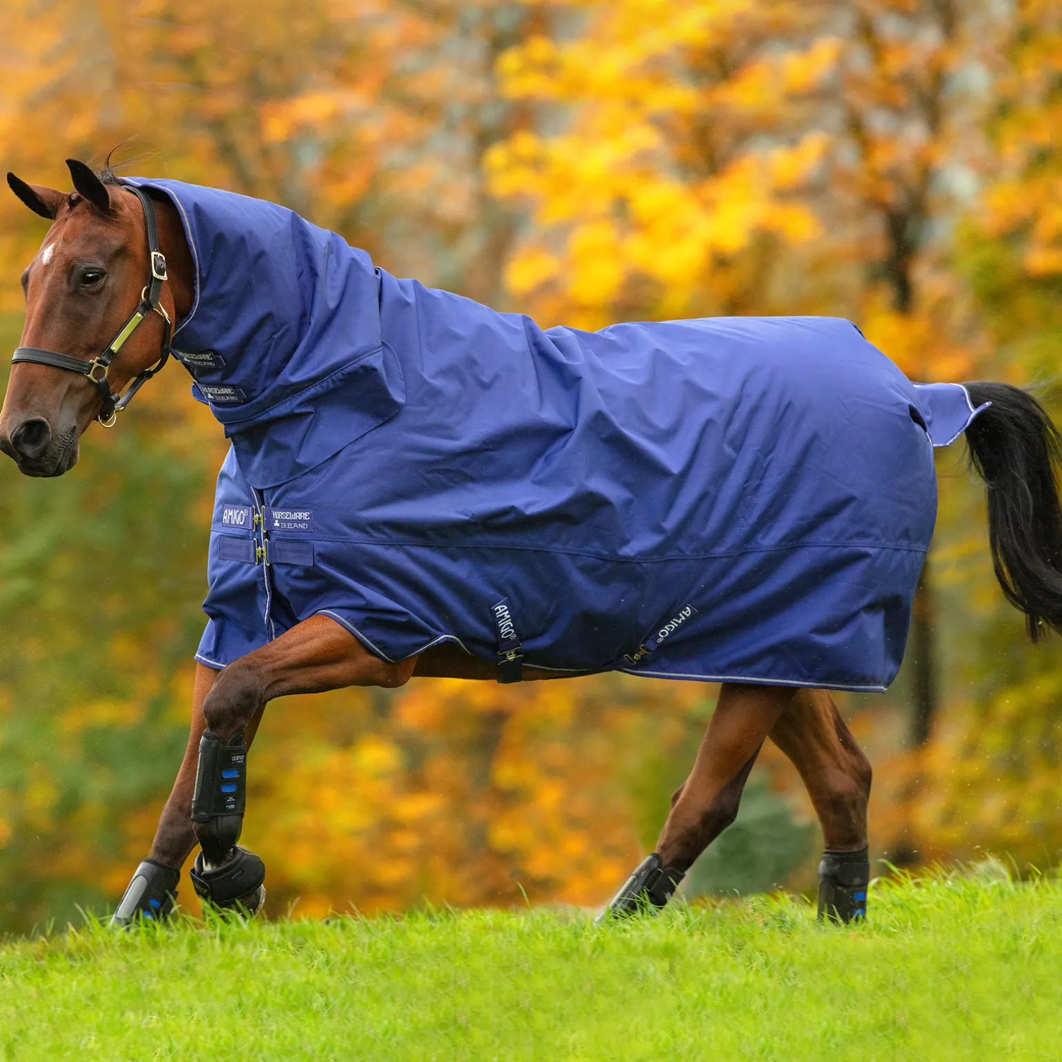 Horseware Amigo Hero 900 All-In-One Ulkoloimi Integroidulla Kaulakappaleella, 200 G