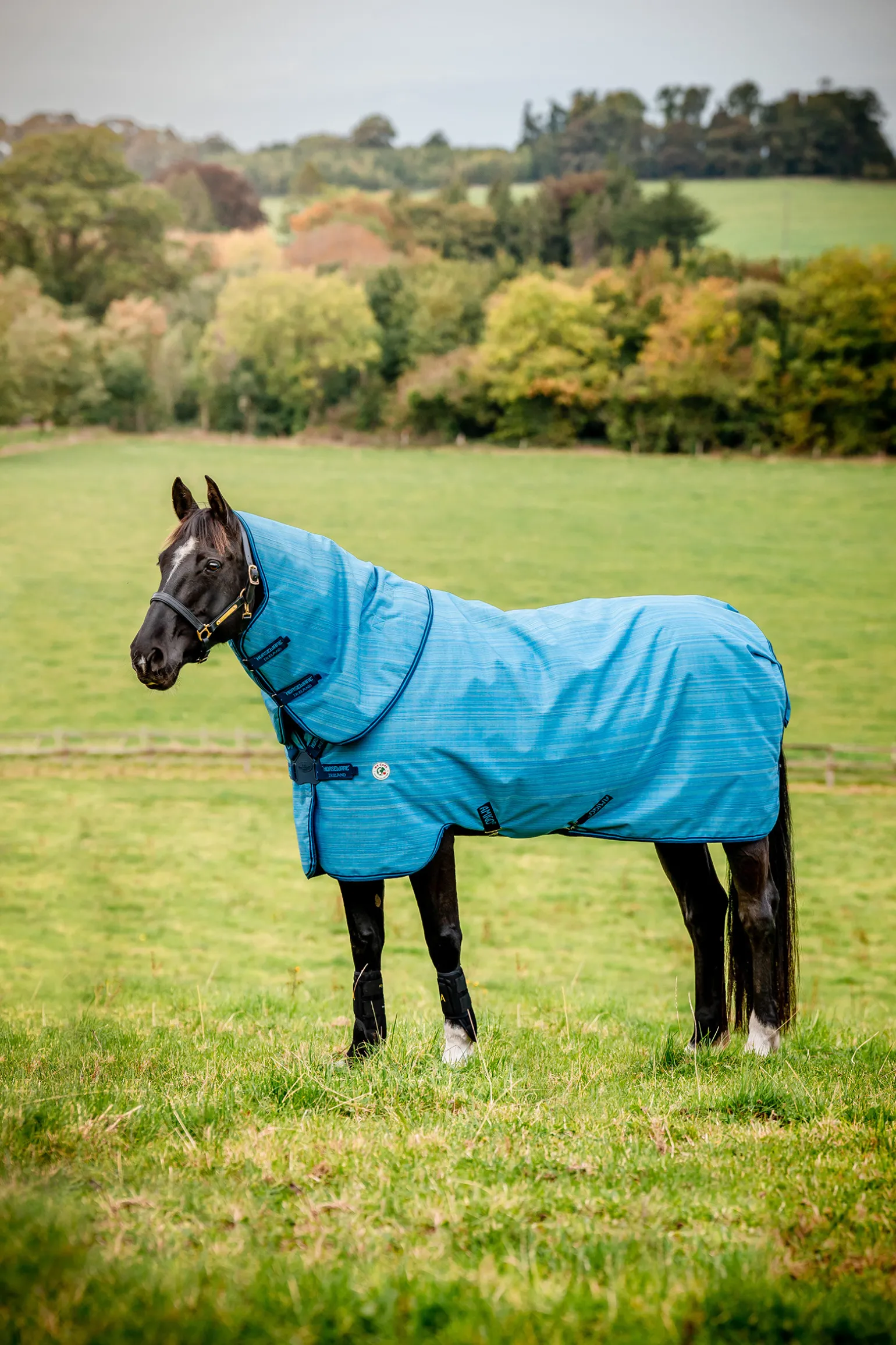 Horseware Amigo Hero 900 Revive Plus Ulkoloimi, Mukana Irrotettava Kaulakappale, 50 G