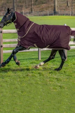 Horseware Amigo Hero Ripstop Plus Lite Ulkoloimi Irrotettavalla Kaulakappaleella, 0 G