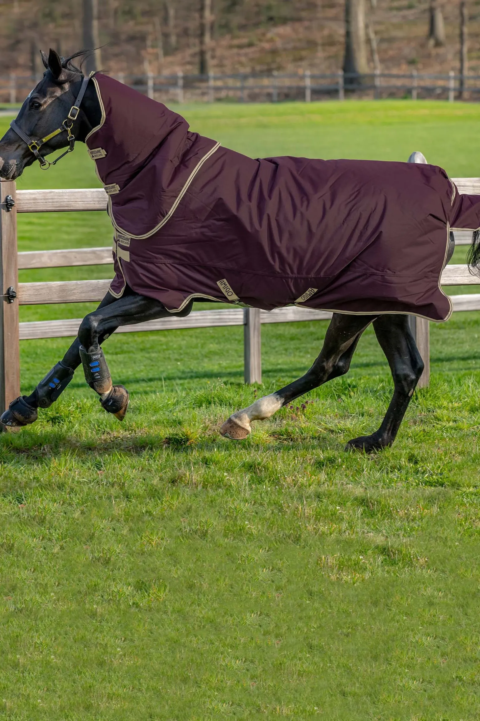 Horseware Amigo Hero Ripstop Plus Lite Ulkoloimi Irrotettavalla Kaulakappaleella, 0 G