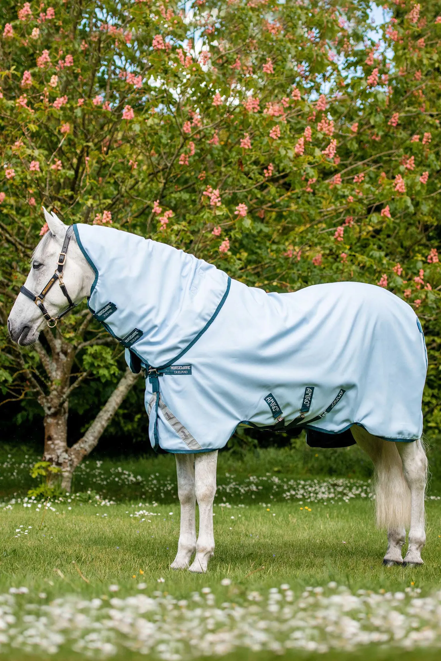 Horseware Amigo Plant Dye Ulkoloimi, 50 G