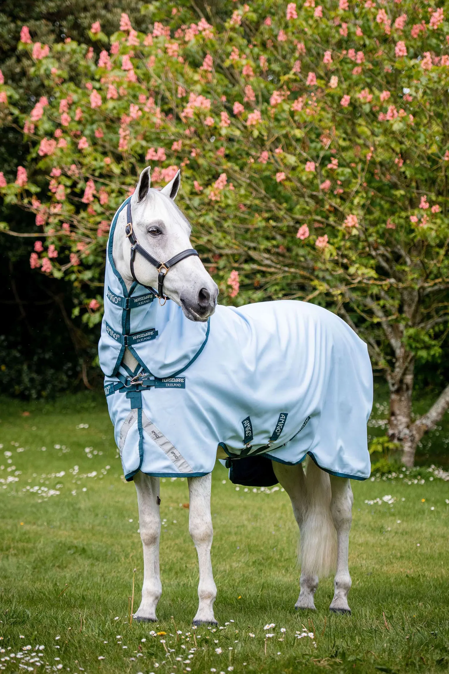 Horseware Amigo Plant Dye Ulkoloimi, 50 G