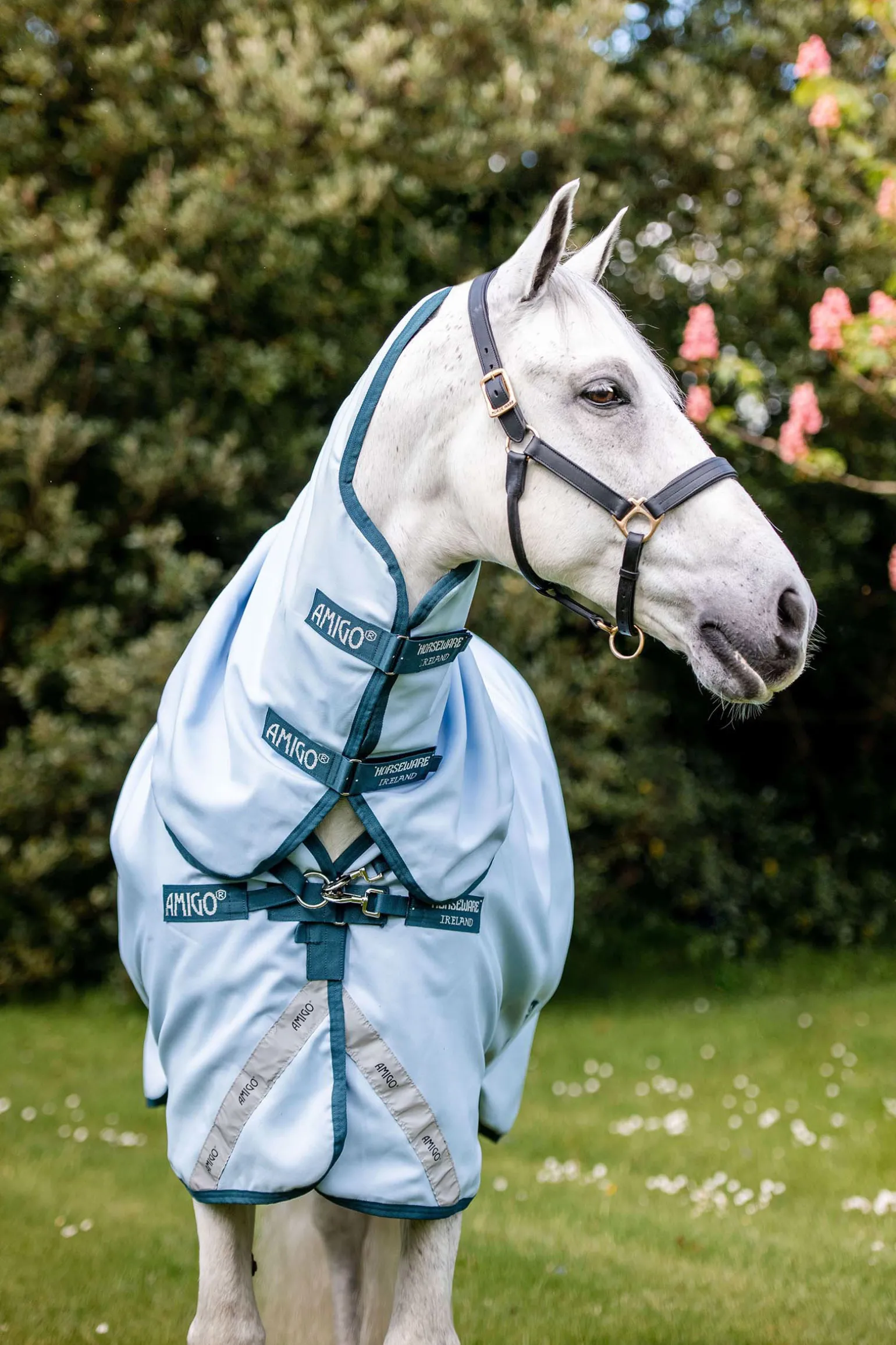 Horseware Amigo Plant Dye Ulkoloimi, 50 G