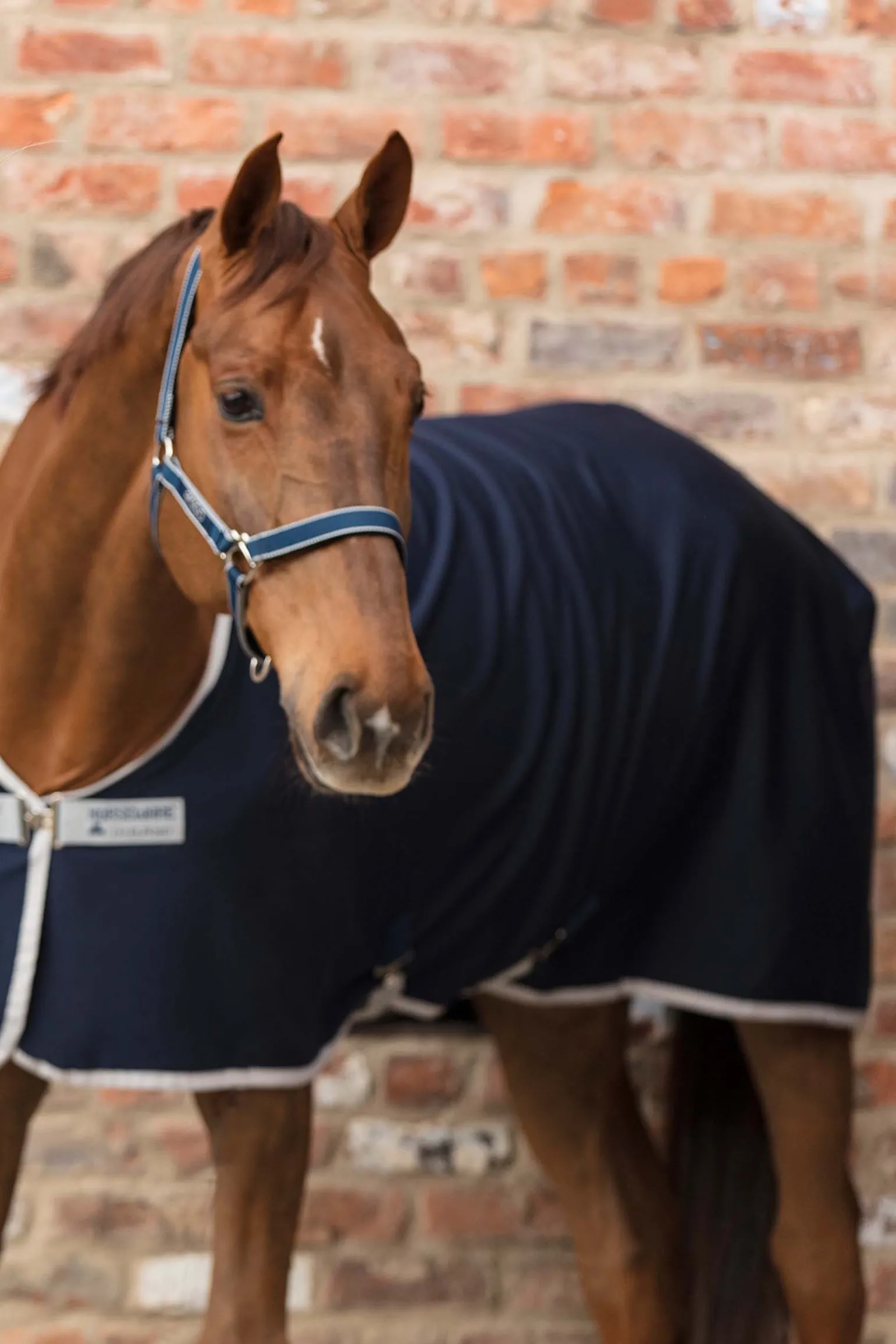 Horseware Amigo Riimu