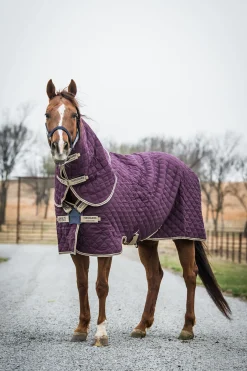 Horseware Amigo Stable Plus Med Disc Talliloimi Irrotettavalla Kaulakappaleella, 200 G